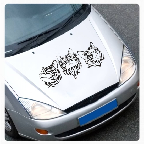 Katzenaugen Katze Kitty Tribal Auto Aufkleber Autoaufkleber Augen