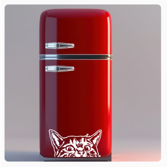 Katze Kater Kühlschrankaufkleber Aufkleber Sticker Dekor Wandtattoo K008