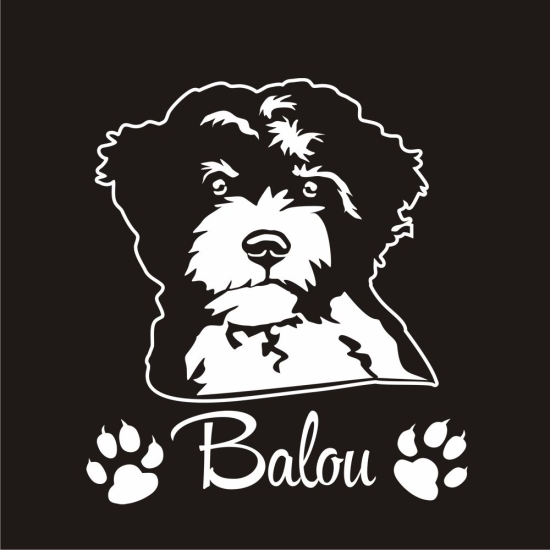 Hundeaufkleber Lagotto Romagnolo Autoaufkleber A366