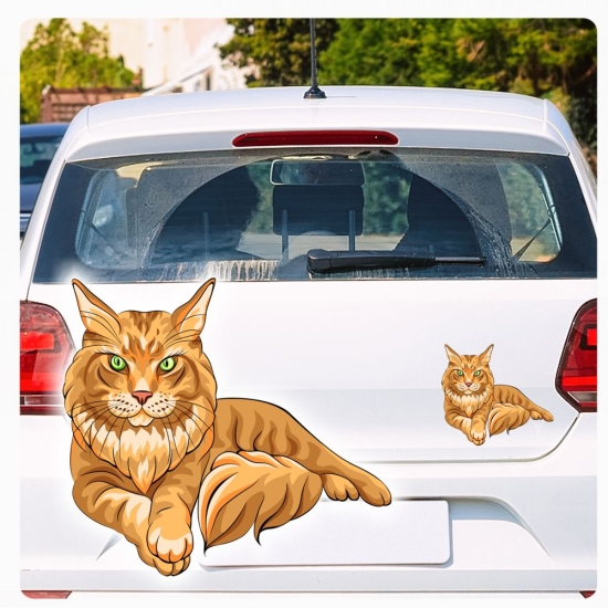 Autoaufkleber Sticker Maine Coon Katze Auto Aufkleber Digitaldruck DA384