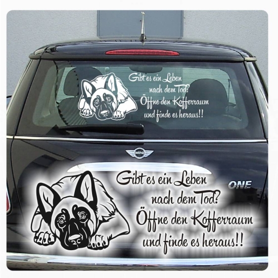 Malinois Belgischer Schäferhund Gibt es ein Leben nach dem Tod Sticker Auto Aufkleber A951