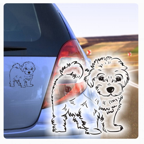 Hundeaufkleber Malteser Havaneser Bologneser Autoaufkleber Sticker Aufkleber A434