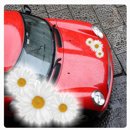 Margerite Blumen Auto Aufkleber Digitaldruck Blumenaufkleber Sticker Ecke  DA019