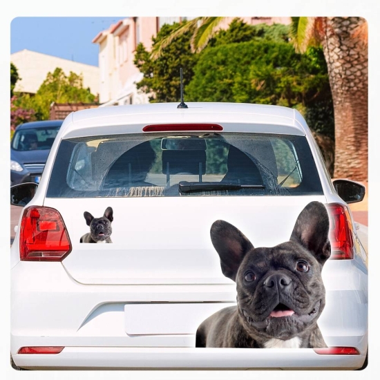 Mops Pug Auto Aufkleber Sticker Tattoo Digitaldruck DA2223