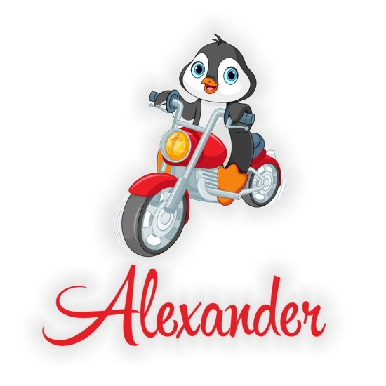 Türaufkleber Pinguin Bike Name Digitaldruck WandtattooTürtattoo Sticker DT077