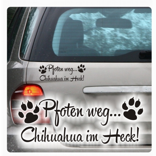 Pfoten weg... Chihuahua im Heck Auto Aufkleber Autoaufkleber Pfoten A947