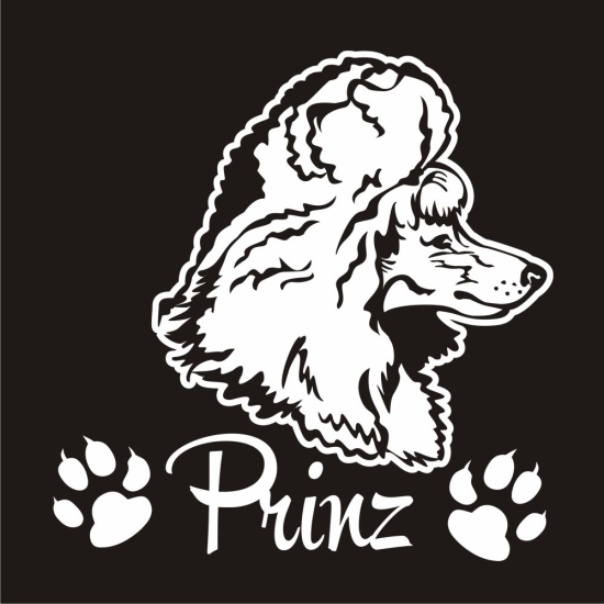 Hundeaufkleber Pudel Zwergpudel Königspudel Name Auto Aufkleber Sticker A523
