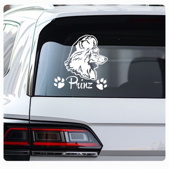 Hundeaufkleber Pudel Zwergpudel Königspudel Name Auto Aufkleber Sticker A523