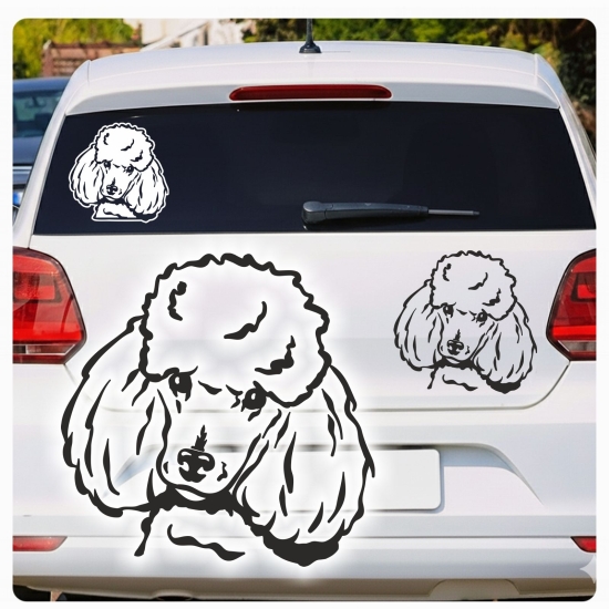 Pudel Zwergpudel Auto Aufkleber Sticker Hund Pfoten A4100