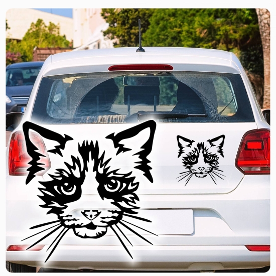 Auto Aufkleber Ragdoll Cat Katze Autoaufkleber clickstick A749