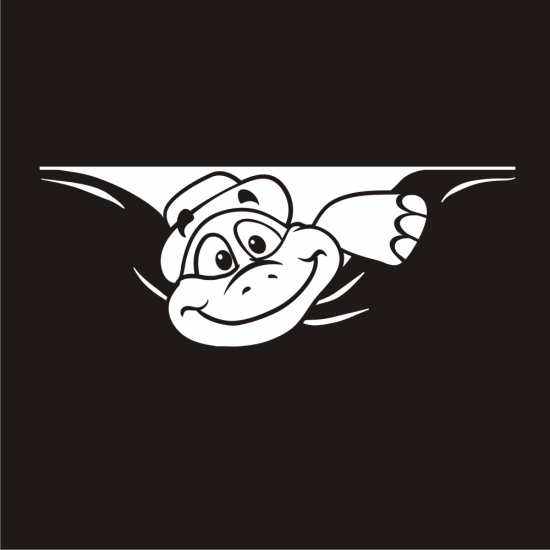 Schildkröte Sticker Aufkleber Autoaufkleber lustig Wohnmobil Aufkleber Caravan Sticker WoMo162