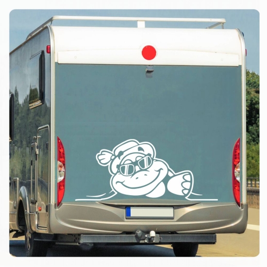 Schildkröte Sticker Aufkleber Autoaufkleber schaut raus Cool mit Hut WoMo191