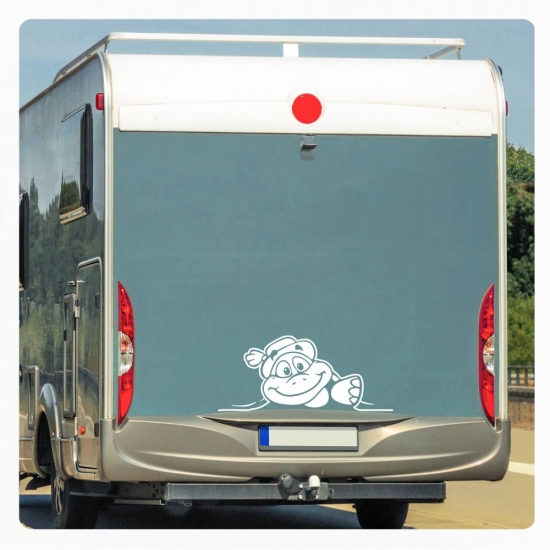 Schildkröte Sticker Aufkleber Autoaufkleber schaut raus mit Hut WoMo192