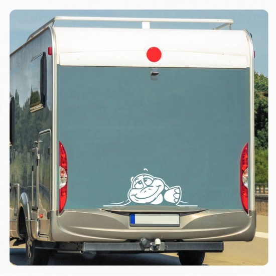 Schildkröte Sticker Aufkleber Autoaufkleber schaut raus WoMo193