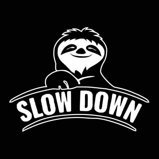Wohnmobil Aufkleber Slow Down Faultier Caravan Sticker WoMo301