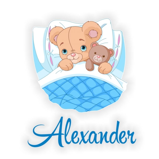 Türaufkleber Teddy Name Junge Bett blau Digitaldruck Wandtattoo Türtattoo DT033