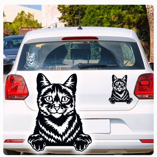 Tigerkatze Hauskatze Kitty Auto Aufkleber Autoaufkleber Sticker Aufkleber A1048