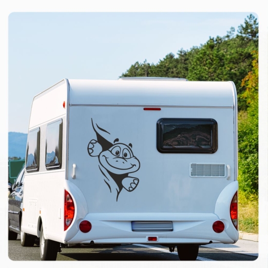 Schildkröte schaut raus Wohnmobil Aufkleber Wohnwagen Sticker WoMo253