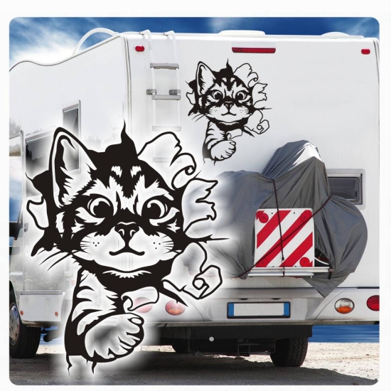 Katze Kitty kommt durch die  Wand Wohnmobil Aufkleber Wohnwagen Sticker WoMo203
