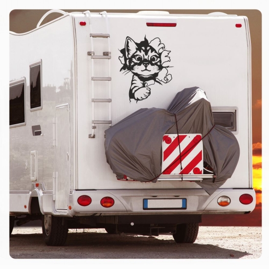 Preview: Katze Kitty kommt durch die  Wand Wohnmobil Aufkleber Wohnwagen Sticker WoMo203