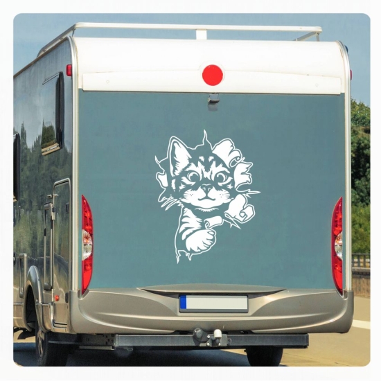 Katze Kitty kommt durch die  Wand Wohnmobil Aufkleber Wohnwagen Sticker WoMo203