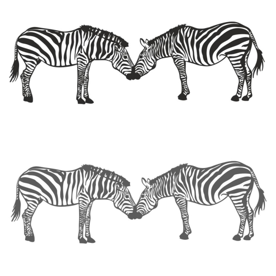 Zebra Zebras Wandtattoo Wandaufkleber Sticker Afrika W4003