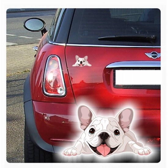 Auto Aufkleber Französische Bulldogge Hund Pfoten Sticker Digitaldruck DA002