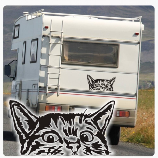 Wohnmobil Aufkleber neugierige Katze WoMo Caravan Aufkleber Sticker WoMo136