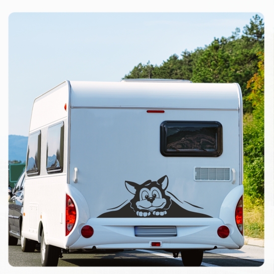 Wohnmobil Aufkleber neugierige Katze WoMo Caravan Aufkleber Sticker WoMo137