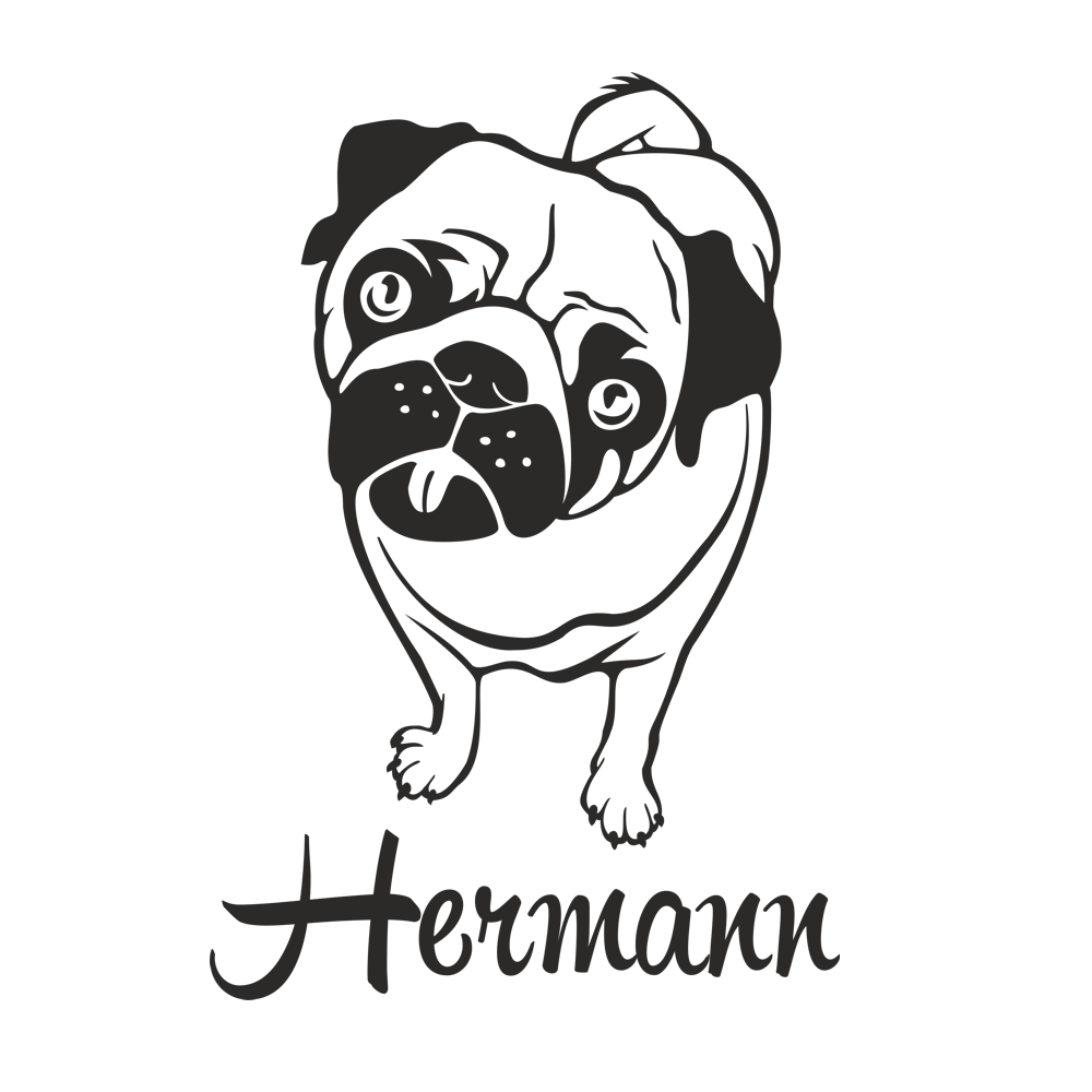 01 für hellen Hintergrund