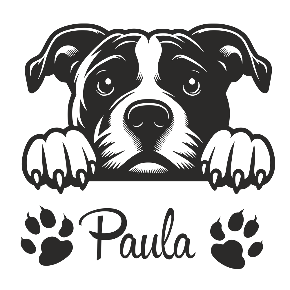 01 für hellen Hintergrund