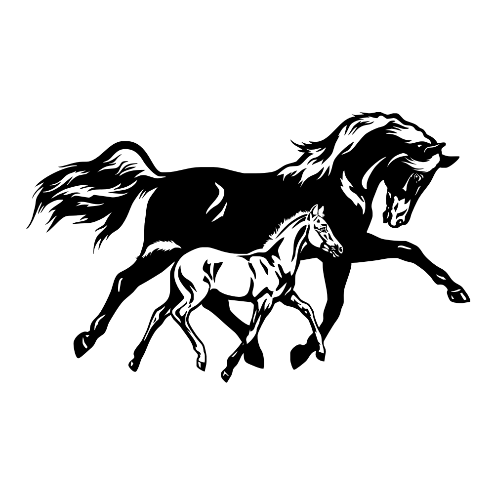 5089_layer_1.png