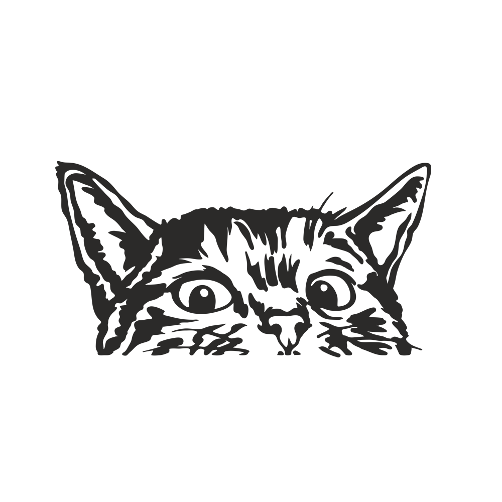 01 für hellen Hintergrund
