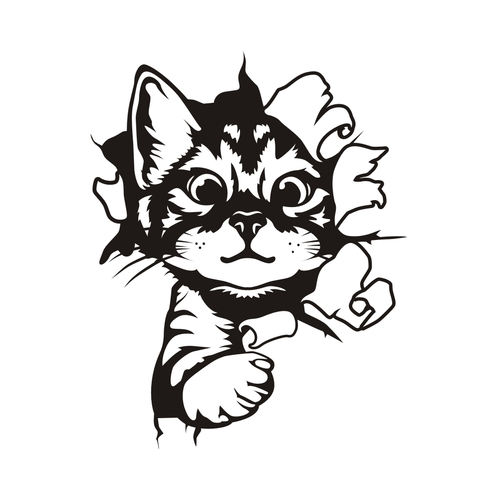 5802_layer_1.png