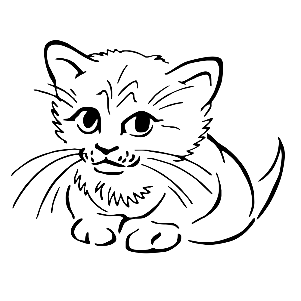 01 für hellen Hintergrund