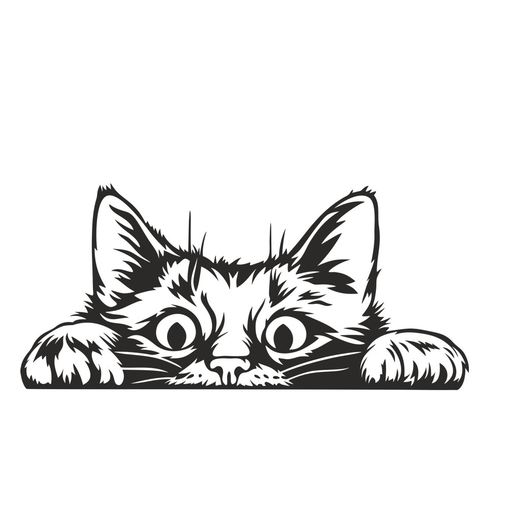 01 für hellen Hintergrund