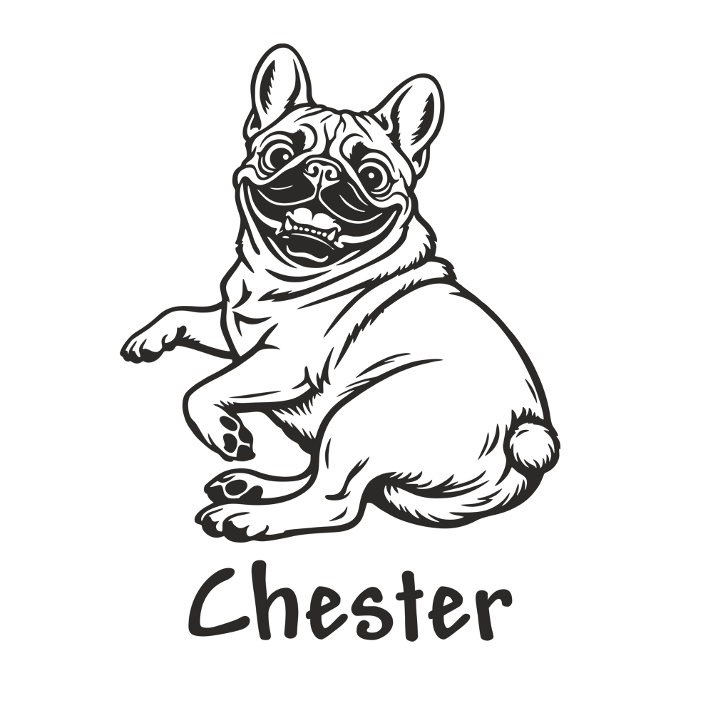 01 für hellen Hintergrund