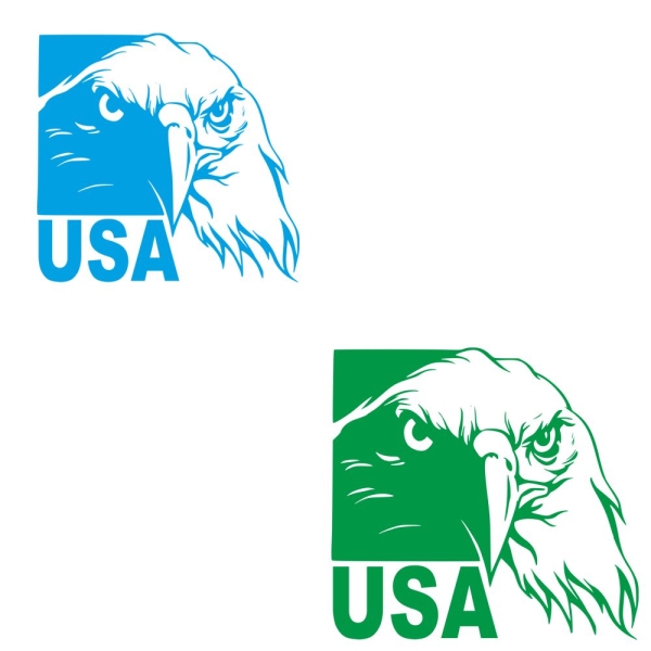 Adler Weißkopfseeadler USA Wohnmobil Aufkleber Wohnwagen Sticker WoMo083