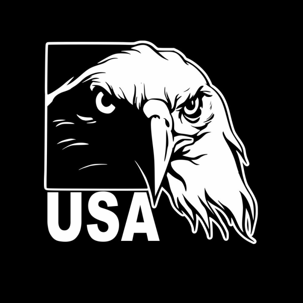 Adler Weißkopfseeadler USA Wohnmobil Aufkleber Wohnwagen Sticker WoMo083