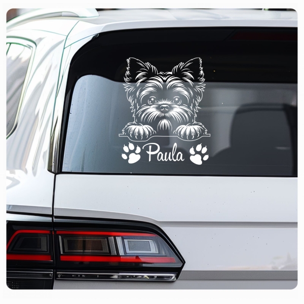 Affenpinscher Autoaufkleber Auto Aufkleber Sticker Hund Pfoten A4241