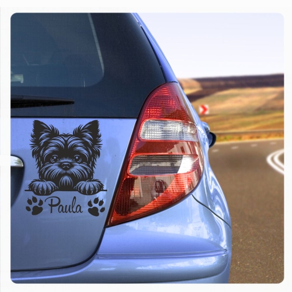 Affenpinscher Autoaufkleber Auto Aufkleber Sticker Hund Pfoten A4241