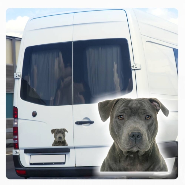 American Staffordshire Terrier Auto Aufkleber Autoaufkleber Sticker Hundeaufkleber DA686