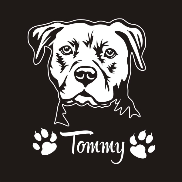 American Staffordshire Terrier Name Pfoten Autoaufkleber Auto Aufkleber Sticker A764