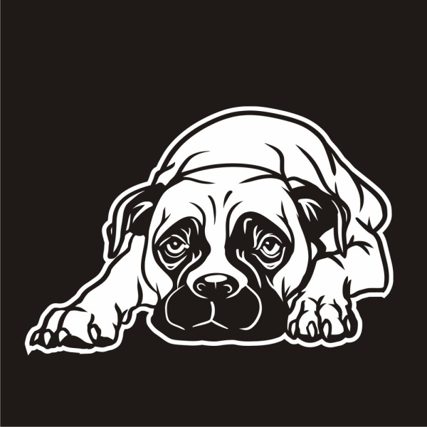 Autoufkleber Boxer Auto Sticker Hundeaufkleber A3102