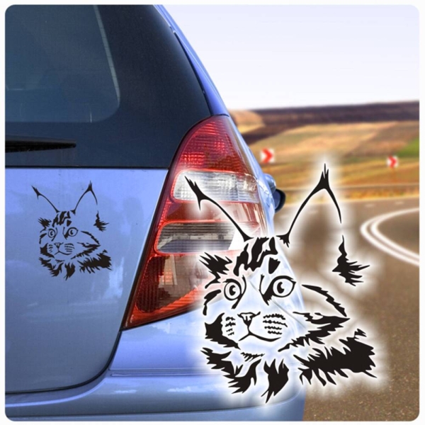 Autoaufkleber Katze Maine Coon Auto Aufkleber Rassekatze A583