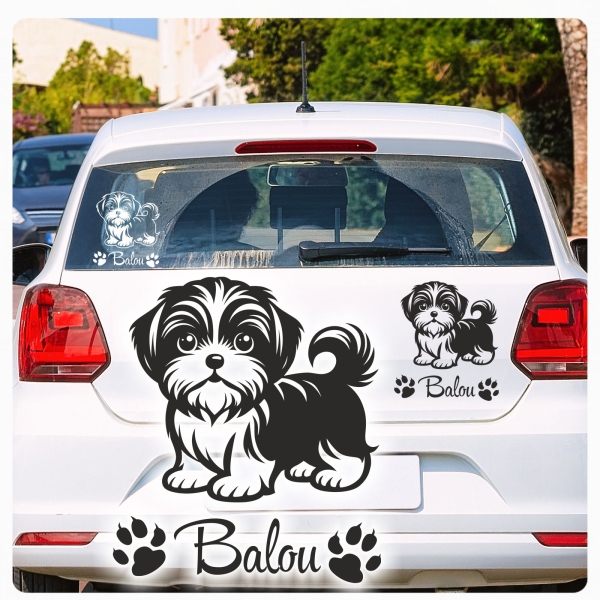 Autoufkleber Shi Tzu Sticker Aufkleber Hundeaufkleber A3112