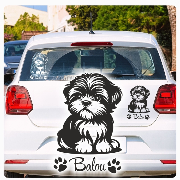 Autoufkleber Shi Tzu Sticker Aufkleber Hundeaufkleber A3113