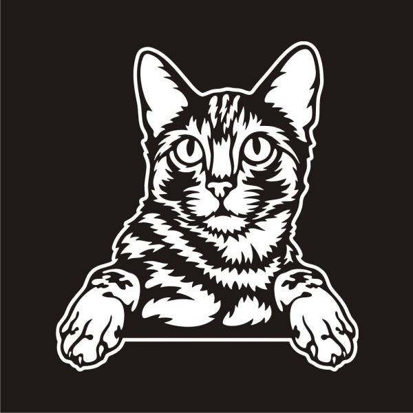 Bengal Katze Kitty Auto Aufkleber Autoaufkleber Sticker Aufkleber A1115