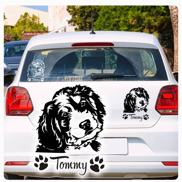 Bernedoodle Name Pfoten Autoaufkleber Auto Aufkleber Sticker A787