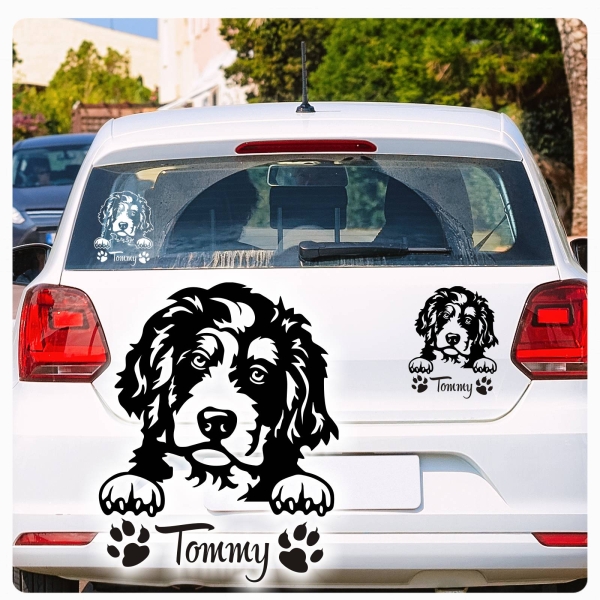 Bernedoodle Name Pfoten Autoaufkleber Auto Aufkleber Sticker A794